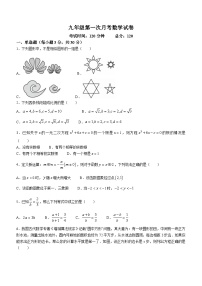 湖南省永州市第十六中学2023-2024学年九年级上学期月考数学试题