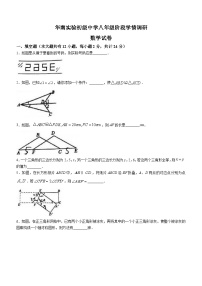 江苏省镇江市丹阳市华南实验学校2023-2024学年八年级上学期第一次月考数学试题(无答案)