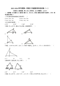 广东省湛江市廉江市良垌中学2023-2024学年八年级上学期月考数学试题(无答案)