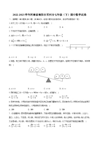 2022-2023学年河南省南阳市邓州市七年级（下）期中数学试卷(含解析）