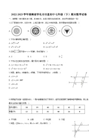 2022-2023学年湖南省怀化市市直初中七年级（下）期末数学试卷(含解析）