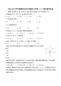 2022-2023学年湖南省长沙市望城区七年级（上）期末数学试卷(含解析）