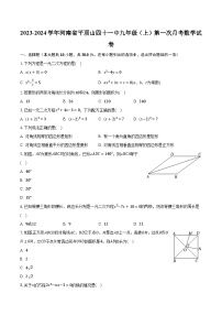 2023-2024学年河南省平顶山四十一中九年级（上）第一次月考数学试卷(含解析）