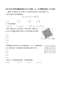 2023-2024学年河南省郑州七中八年级（上）月考数学试卷（10月份）(含解析）