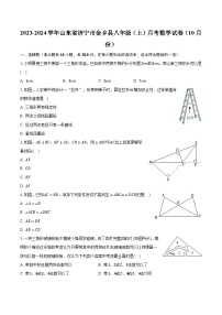 2023-2024学年山东省济宁市金乡县八年级（上）月考数学试卷（10月份）(含解析）