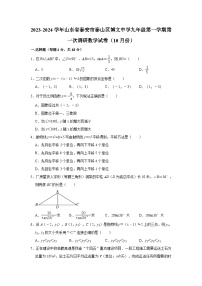 山东省泰安市泰山区泰山博文中学2023-2024学年九年级上学期10月月考数学试题