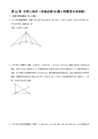 第12章 全等三角形（压轴必刷30题4种题型专项训练）-2023-2024学年八年级数学上学期期中考点大串讲（人教版）