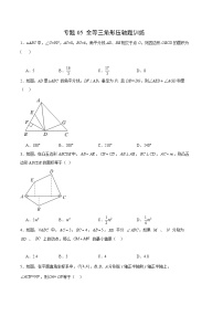 【期中真题】2023-2024学年八年级数学上册 期中真题分类汇编专题05 全等三角形压轴题训练-试卷.zip