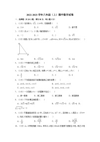 广东省清远市清新区2022-2023学年八年级上学期期中数学试卷