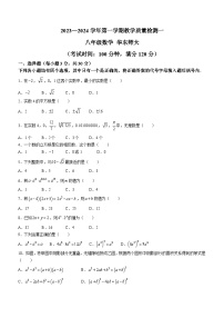 河南省周口市淮阳区2023-2024学年八年级上学期10月月考数学试题