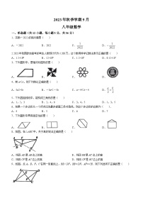 广西壮族自治区南宁市江南区高新初级中学2023-2024学年八年级上学期9月月考数学试题(无答案)