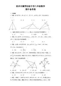 江苏省 徐州市撷秀初级中学2023—2024学年上学期八年级数学 期中备考卷