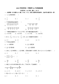 福建省泉州东海中学2023-2024学年七年级上学期月考数学试题(无答案)