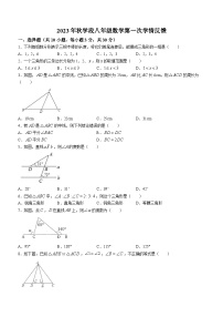 河南省新乡市长垣市蒲东街道中心学校2023-2024学年八年级上学期10月月考数学试题(无答案)