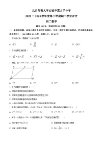 北京师范大学实验华夏女子中学2022~2023学年八年级下学期期中数学试题