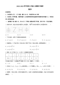 河南省周口市西华县2022-2023学年九年级上学期期中数学试题