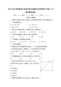 黑龙江省佳木斯市富锦市双语学校2022-2023学年八年级下学期期中数学试卷