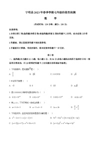 广西壮族自治区崇左市宁明县2022-2023学年七年级下学期期中数学试题