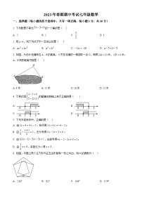 河南省南阳市桐柏县2022-2023学年七年级下学期期中数学试题