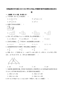 河南省郑州市中原区2023-2024学年九年级上学期期中数学仿真模拟试卷北师大版