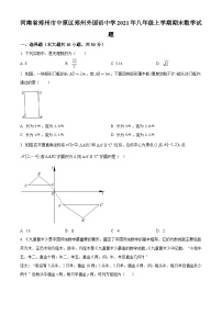 精品解析：河南省郑州市中原区郑州外国语中学2021年八年级上学期期末数学试题（原卷版）