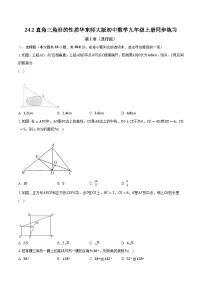 初中数学华师大版九年级上册24.2直角三角形的性质优秀复习练习题