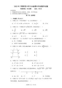 湖南省衡阳市祁东县育贤中学2023-2024学年九年级上学期期中考试数学试题