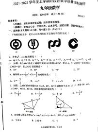 山东省临沂市罗庄区2021-2022学年九年级上学期阶段性教学质量诊断测评（期中）数学试题