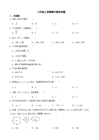 海南省海口2023年八年级上学期期中数学试题（附答案）