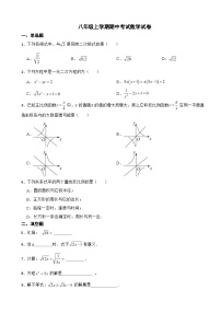 上海市青浦区2023年八年级上学期期中考试数学试卷（附答案）