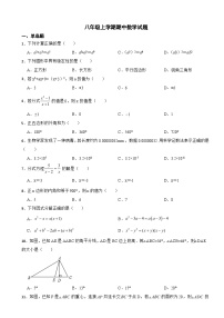 天津市津南区2023年八年级上学期期中数学试题（附答案）