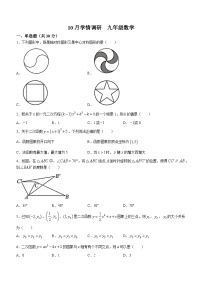 河南省安阳市五中学区2023-2024学年九年级上学期10月学情调研数学试题