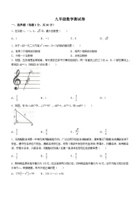 河南省鹤壁市浚县部分校2023-2024学年九年级上学期期中考前联考数学试题