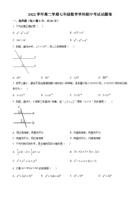 浙江省嘉兴市平湖市六校校考2022-2023学年七年级下学期期中数学试题