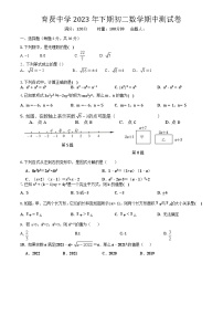 湖南省衡阳市祁东县育贤中学2023-2024学年八年级上学期期中考试数学试题