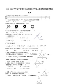 2020-2021学年辽宁省营口市大石桥市八年级上学期期中数学试题及答案