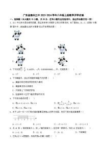 广东省惠州三中2023-2024学年八年级上册数学开学试卷