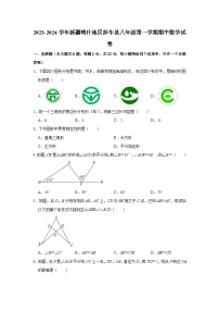 新疆维吾尔自治区喀什地区莎车县2023-2024学年八年级上学期期中多校联考数学试卷（含解析）