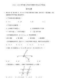 河南省信阳市淮滨县2022-2023学年下学期七年级期中测试数学试题