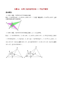 北师大版数学七年级下册期末复习考点串讲+题型专训专题06 全等三角形证明方法：手拉手模型（2份打包，原卷版+含解析）