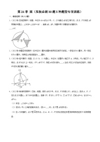 第24章 圆（压轴必刷30题5种题型专项训练）-2023-2024学年九年级数学上学期期中考点大串讲（人教版）