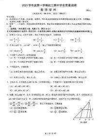 上海市杨浦区2023-—2024学年上学期九年级期中数学试卷