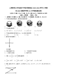 云南省云南师范大学实验中学2023-2024学年八年级上学期10月月考数学试题(无答案)