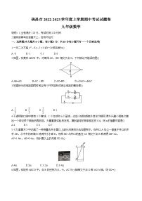 江西省九江市瑞昌市2022-2023学年九年级上学期期中数学试题