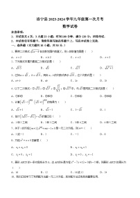 河南省洛阳市洛宁县2023-2024学年九年级上学期10月月考数学试题