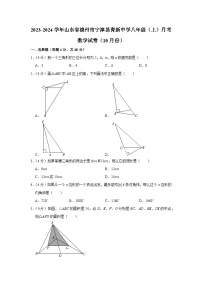 山东省德州市宁津县育新中学2023-2024学年八年级上学期月考数学试卷（10月份）