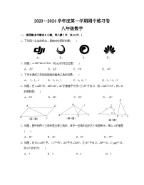 江苏省南京市联合体2023-2024学年 上学期八年级数学期中练习卷