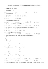 广东省 深圳市 南山实验教育集团南海中学2023-2024学年上学期八年级期中考试数学试卷