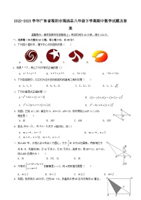 2022-2023学年广东省揭阳市揭西县八年级下学期期中数学试题及答案