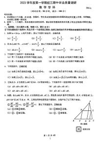 上海市杨浦区2023-2024学年九年级第一学期期中考试数学试题